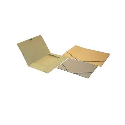 PASTA CARTOLINA 310x235mm 180-C 3 ABAS