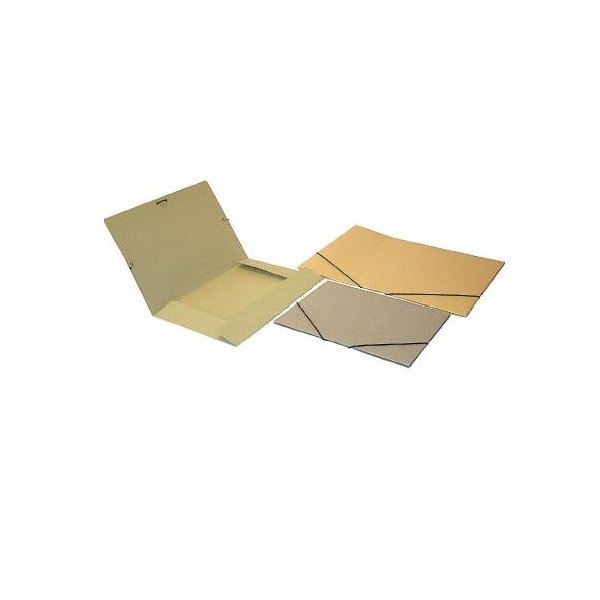 PASTA CARTOLINA 310x235mm 180-C 3 ABAS