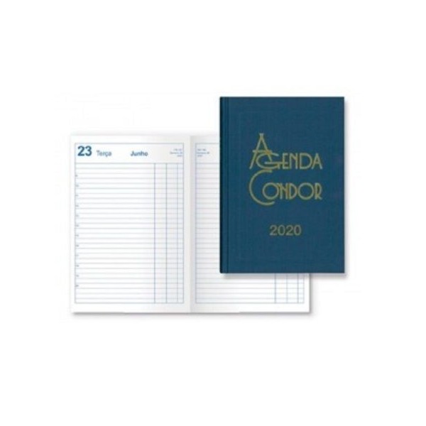 AGENDA DIARIA CONDOR 2020 A5 15x21cm AZUL