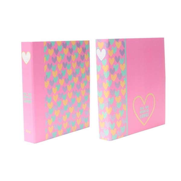 PASTA ARQUIVO ANCOR B´LOG HEARTS 2025 L/E 40MM 2 ARGOLAS SORTIDO