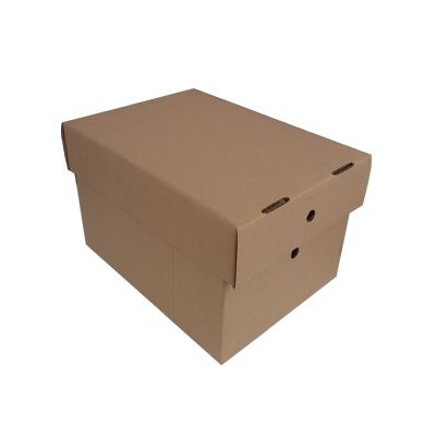 CAIXA CARTAO PAREDE SIMPLES KRAFT 306x226x197mm C/ TAMPA