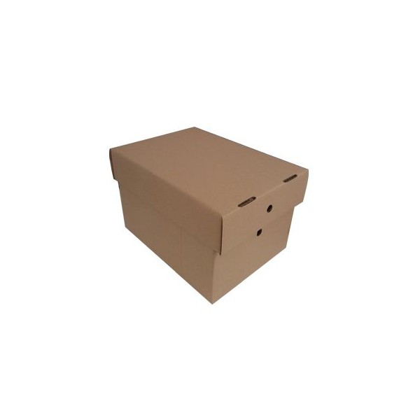 CAIXA CARTAO PAREDE SIMPLES KRAFT 306x226x197mm C/ TAMPA