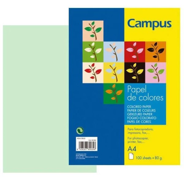 PAPEL FOTOCOPIA A4 80GR. 100FLS  VERDE CLARO