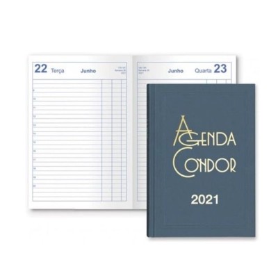 AGENDA DIARIA CONDOR 2021 A5 14x21cm AZUL