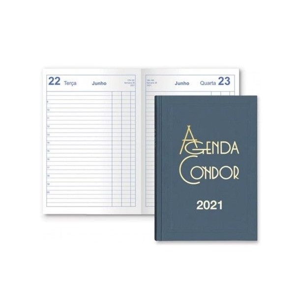 AGENDA DIARIA CONDOR 2021 A5 14x21cm AZUL