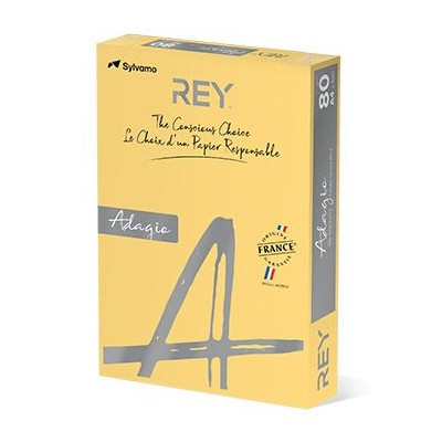 RESMA PAPEL FOTOCOPIA ADAGIO A4 80GR. AMARELO MANTEIGA / OURO  (02)