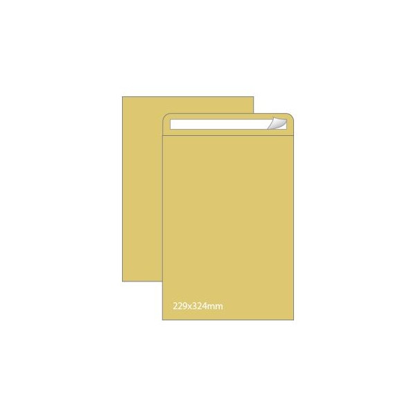CAIXA 250 ENVELOPES SACO KRAFT C4 90gr. 229x324mm AUTODEX
