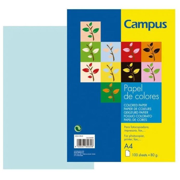 PAPEL FOTOCOPIA A4 80GR. 100FLS  AZUL CELESTE