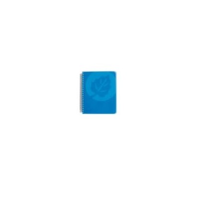 CADERNO ESPIRAL CAPA PLASTICA A6 70gr.120FLS QUADRICULADO