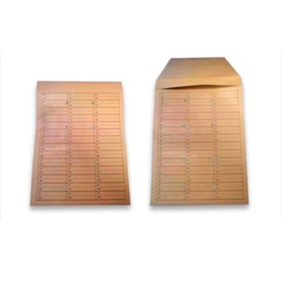 CAIXA 250 ENVELOPES CORREIO INTERNO A4+ B4 250x353mm  C/ PALA DE ENSACAR  C/ 8 FUROS KRAFT