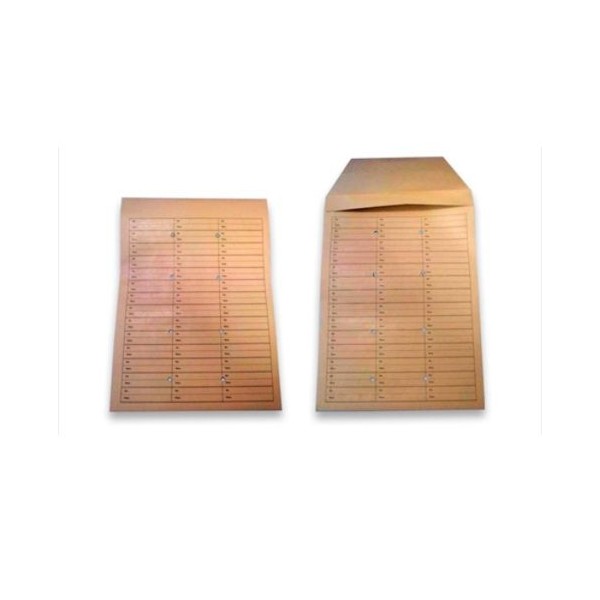 CAIXA 250 ENVELOPES CORREIO INTERNO A4+ B4 250x353mm  C/ PALA DE ENSACAR  C/ 8 FUROS KRAFT
