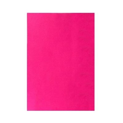 PLACA GOMA EVA A3 ROSA CHOQUE EB22