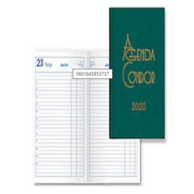 AGENDA DIARIA CONDOR 2020 A6 VERDE