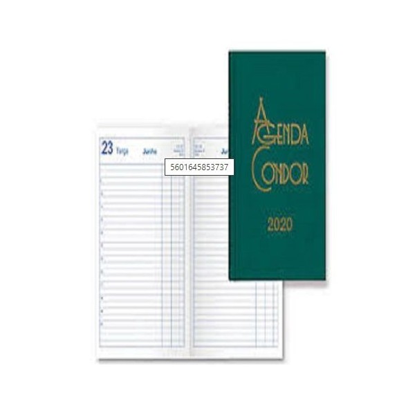 AGENDA DIARIA CONDOR 2020 A6 VERDE