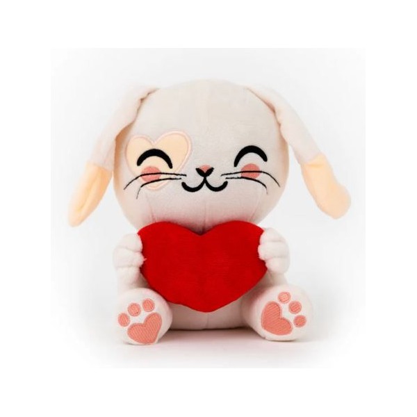 PELUCHE MR WONDERFUL - COELHINHO COM CORAÇÃO