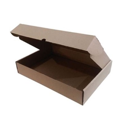 CAIXA EXPEDIÇAO CARTAO AUTO-M KRAFT 22x14x6cm