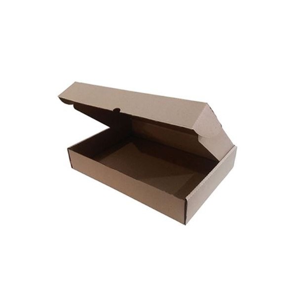 CAIXA EXPEDIÇAO CARTAO AUTO-M KRAFT 22x14x6cm