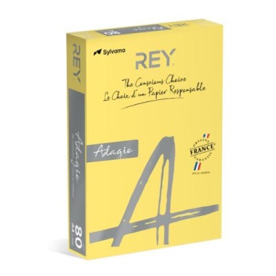 RESMA PAPEL FOTOCOPIA ADAGIO A4 80GR. AMARELO LIMAO (58)