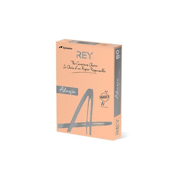 RESMA PAPEL FOTOCOPIA ADAGIO A4 80GR. SALMAO (08)