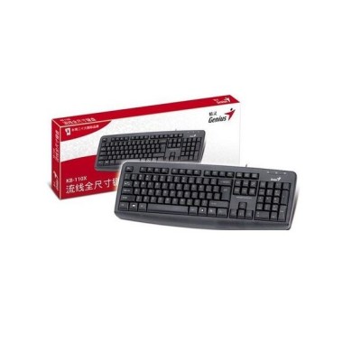 TECLADO GENIUS KB-110X  USB