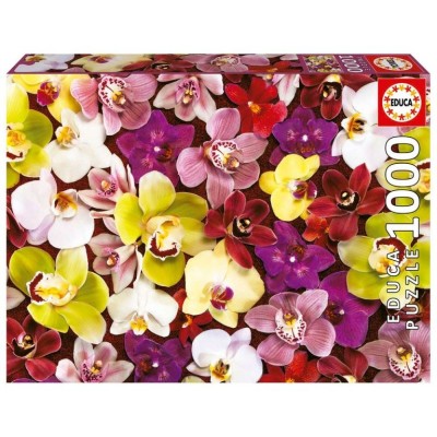 PUZZLE EDUCA 1000 PECAS COLAGEM DE ORQUIDEAS