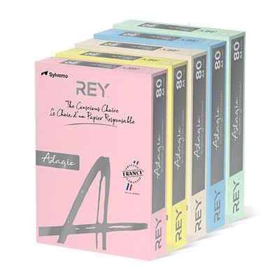 RESMA PAPEL FOTOCOPIA ADAGIO A4 80GR. 5x100FLS CORES SUAVES