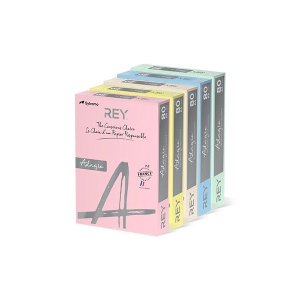 RESMA PAPEL FOTOCOPIA ADAGIO A4 80GR. 5x100FLS CORES SUAVES