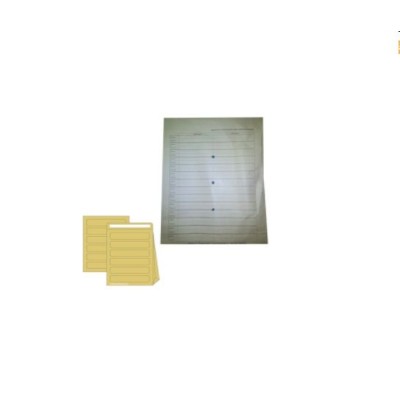 CAIXA 250 ENVELOPES KRAFT C/ FOLE CORREIO INTERNO 110gr. A4+ B4 250x353x60mm C/ PALA ENSACAR C/ FUROS