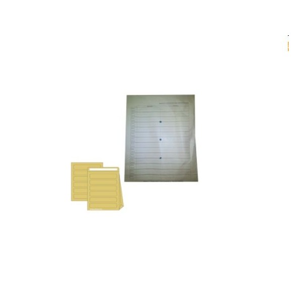 CAIXA 250 ENVELOPES KRAFT C/ FOLE CORREIO INTERNO 110gr. A4+ B4 250x353x60mm C/ PALA ENSACAR C/ FUROS