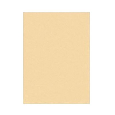 PLACA FELTRO A3 45x30cm 2MM CREME 09