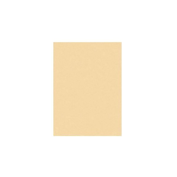 PLACA FELTRO A3 45x30cm 2MM CREME 09