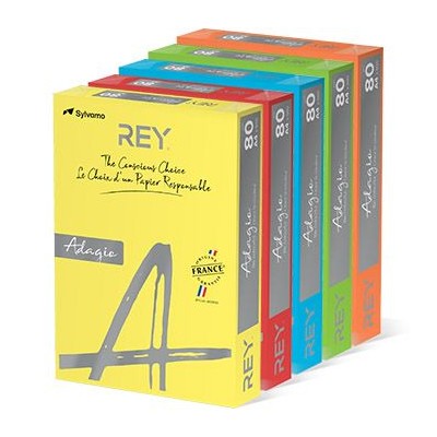RESMA PAPEL FOTOCOPIA ADAGIO A4 80GR. 5x100FLS CORES INTENSAS
