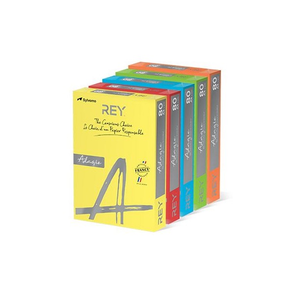 RESMA PAPEL FOTOCOPIA ADAGIO A4 80GR. 5x100FLS CORES INTENSAS