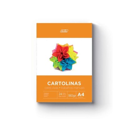 BLOCO DE CARTOLINAS A4  180gr. 24FLS CORES VIVAS SORTIDAS