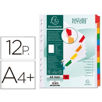 SEPARADORES CARTOLINA BRANCO A4+ "DIN" 12 POSIÇOES COLORIDOS