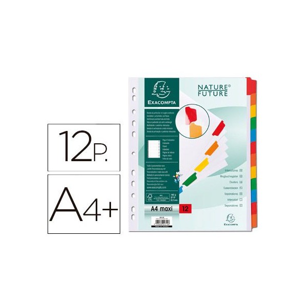 SEPARADORES CARTOLINA BRANCO A4+ "DIN" 12 POSIÇOES COLORIDOS